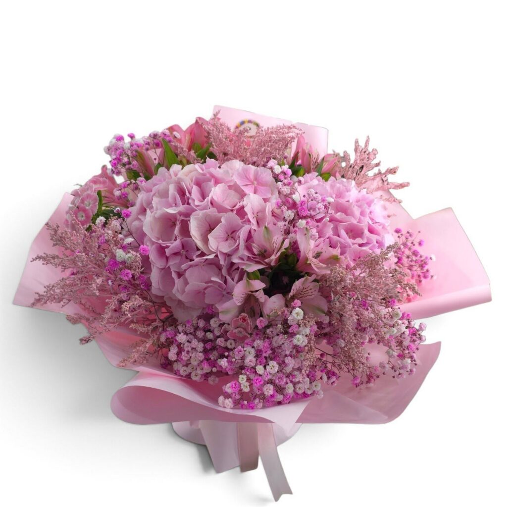 Bukiet różowych hortensji – kwiaciarnia My Flowers Koszalin